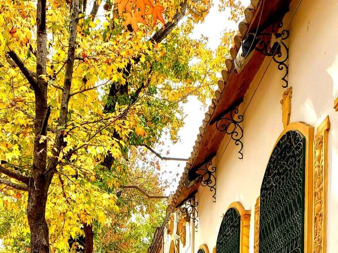 Calle histórica de Saladillo en otoño
